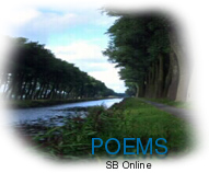 stream and trees