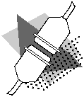 fig_2.gif