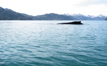 http://www.employees.org/%7Ealanb/alaska-2007-name-1M/Picture%20062.jpg
