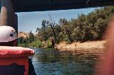 Bungee jumpin' hippie!