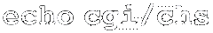 Echo cgi/chs