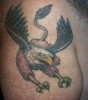 Griffin Tattoo