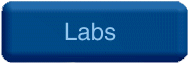     Labs     