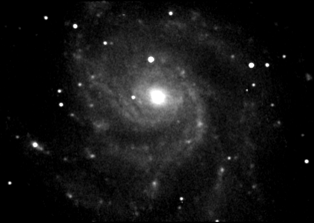 M101