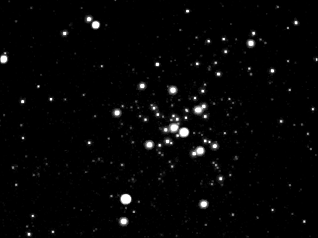 M41