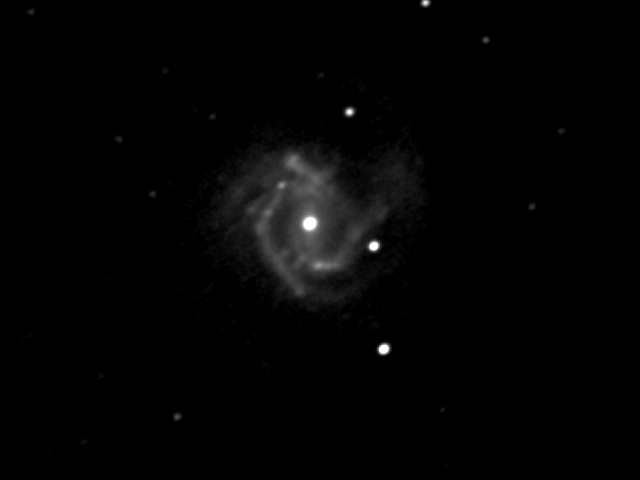M61