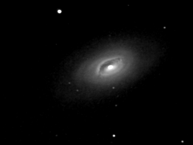 M64