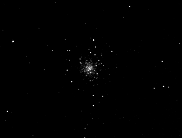 M79