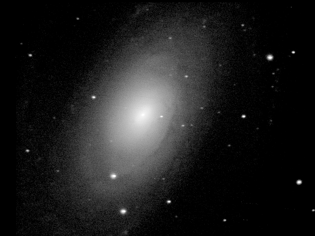 M81