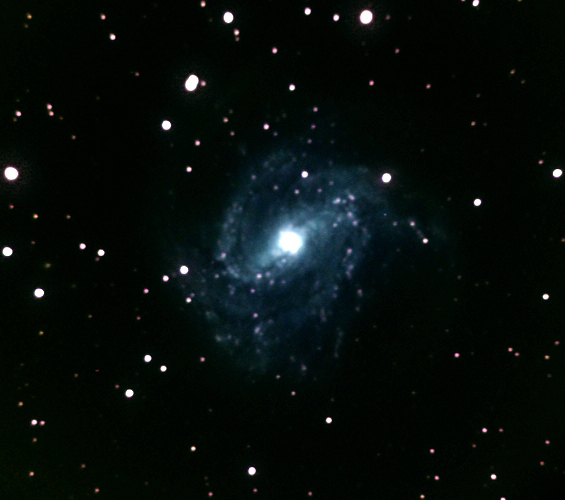 M83