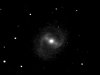 m91