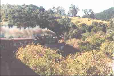 sa8.jpg (40343 bytes)