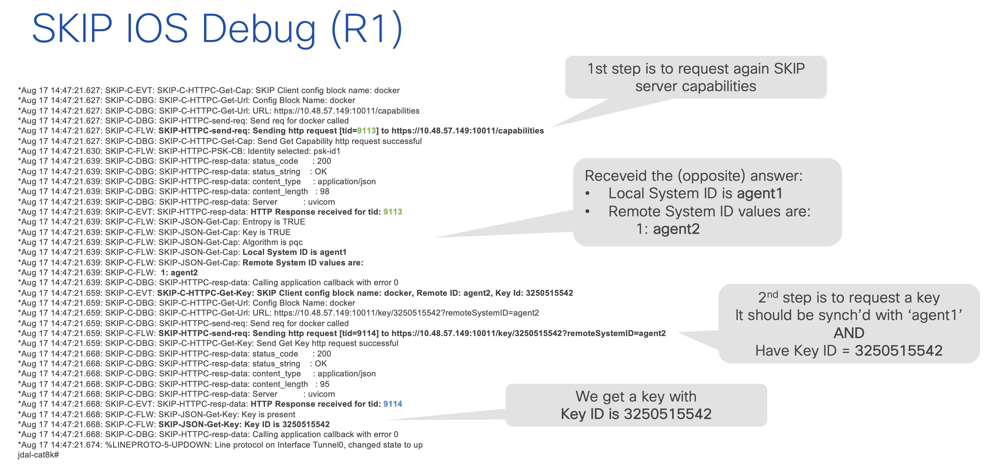 SKIP debug R1